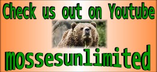Moss Unlimited